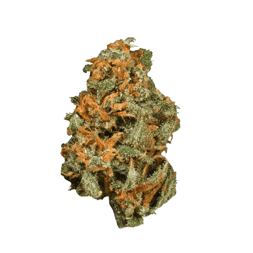 420 Balanced Basic PT SLG Super Lemon G