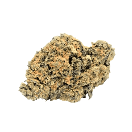 Cannamedical Sativa forte NM Gelato Dream