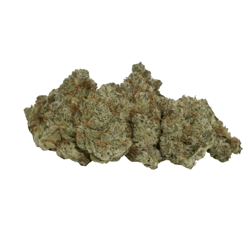 avaay Signature 31/1 OGC