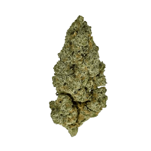 Weeco LMC 30/1 DK Lemoncello