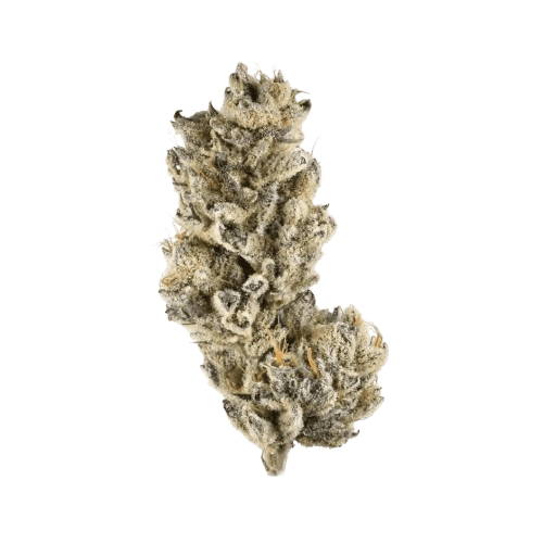 187 Cannabisflower FBP THC25 Forbidden Punch