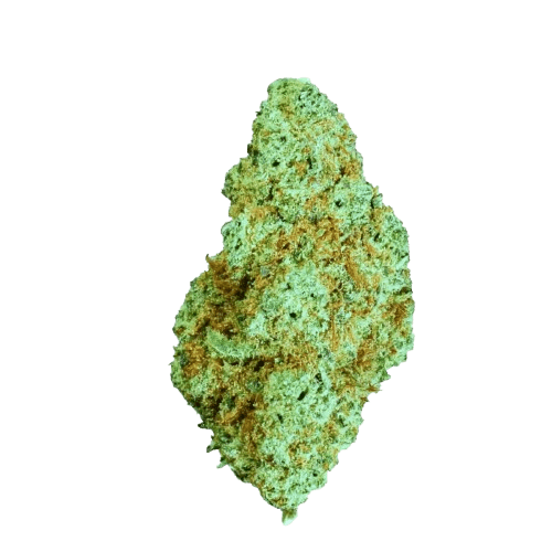 Core Lume 26:1 Lemon Z