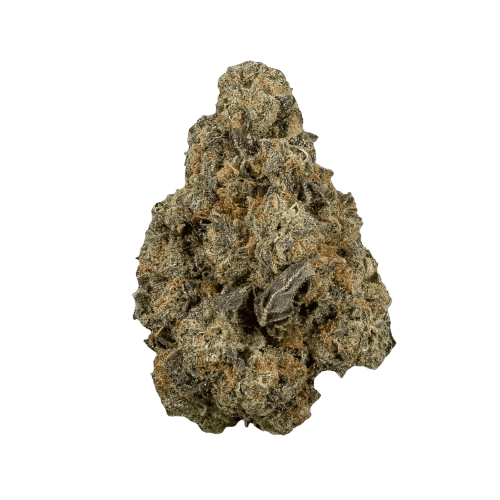 31/1 Amici WC Wedding Cake