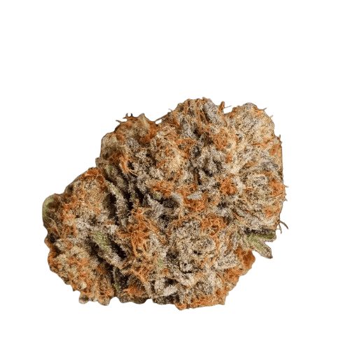 aleph Ruby 24/1 Kosher Tangie