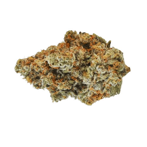 420 Evolution 25/1 CA WES