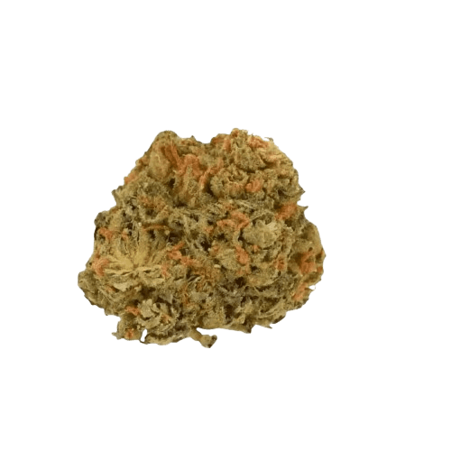 Canify 28/1 CSF Ku. Solpina Magic