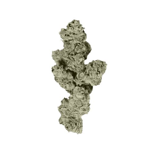 Demecan CV Regular Drop 25/1 Banana Kush