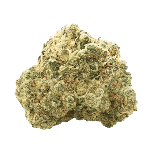 Buuo 26/1 FRC Frosted Cookies