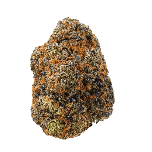 Medical Saints 24/1 SRD Sugar Dream