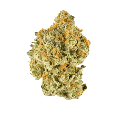 enua 25/1 MAC 1 CA Miracle Alien Cookies
