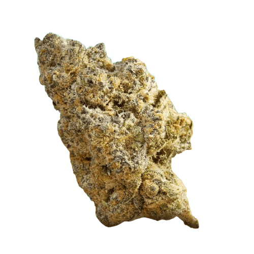  CANVAS SBF THC27 Super Boof