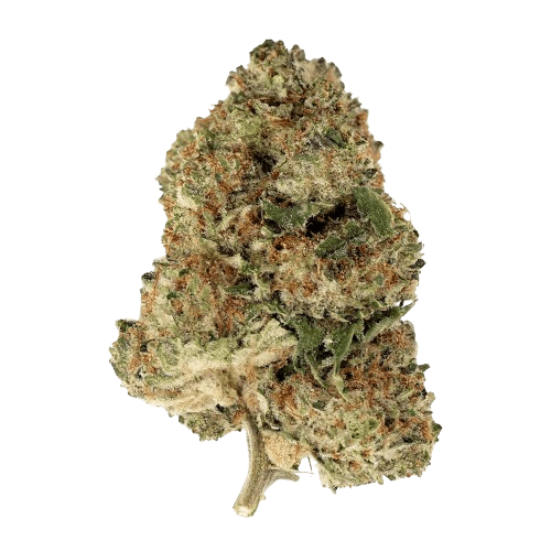 Buuo 26/1 LVM Engine Fuel Gelato