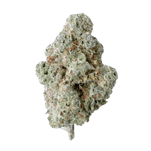 Breezy Organics CGL 22/1