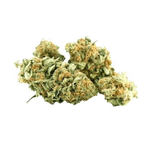 Tilray THC18 Spotlight Porto White Widow
