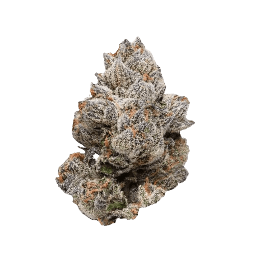 BC Green 17/1 A&B Apples and Bananas