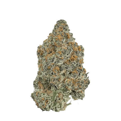 Cannabis flos 25/1 CL Ku. Dosi Bow