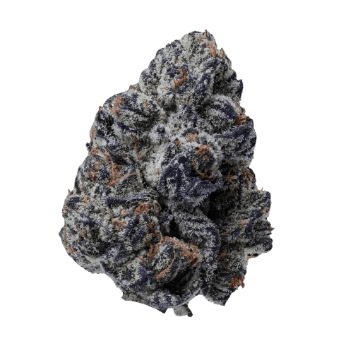 24/1 IUVO OC Killer Cupcake