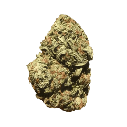 Cannamedical Hybrid light URY White Gorilla