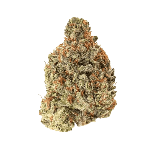 IMC CCS THC22 Crescendo