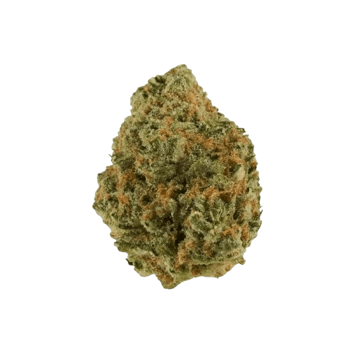 Tilray THC22 Spotlight Porto Frosted Cherry Cookies