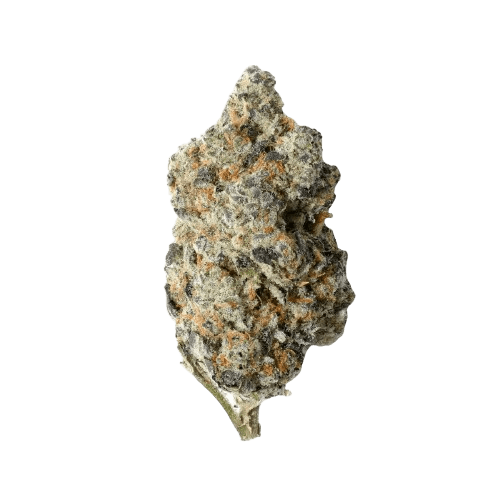 Enua 25/1 WCK CA 100 LA Kush Cake