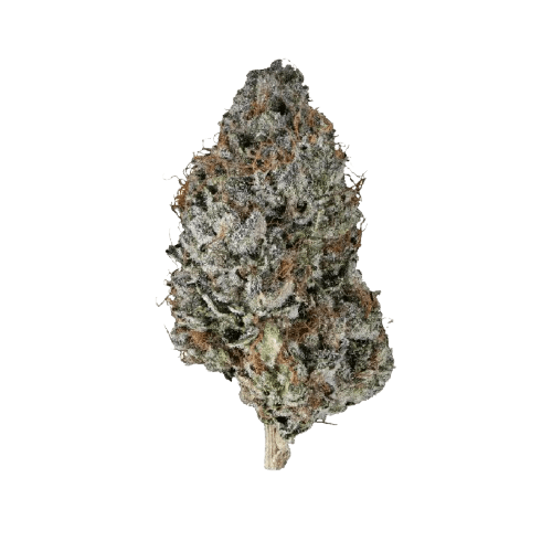 Tilray Craft THC22 BCR Beach Crasher