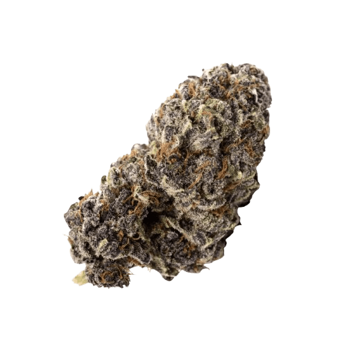 enua 27/1 ZKM CA Zkittlez Kushmints