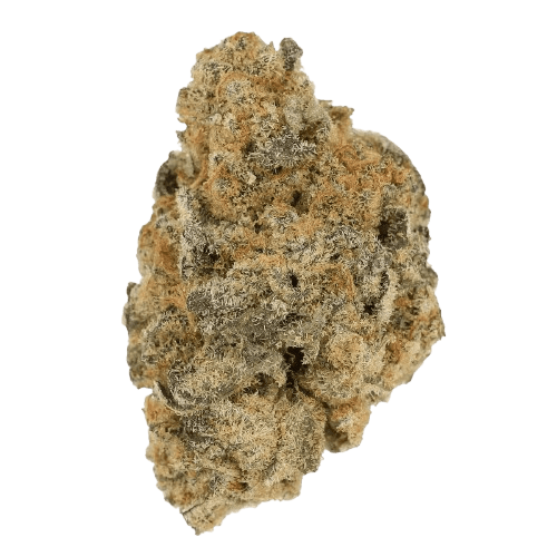 Cannamedical Indica Forte BC Banana Cream Cake