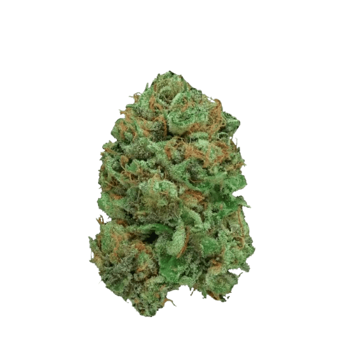 Luana Electric 28/1 Bashengo