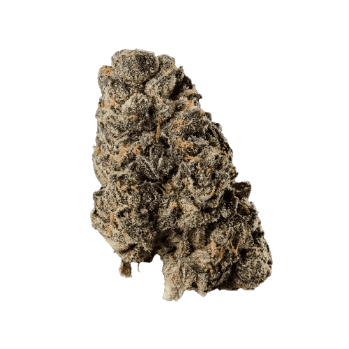 420 Evolution 16/1 CA LCG Lemon Cherry Gelato 