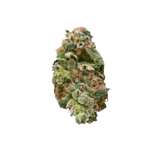 Soma OG 30/1 Spritzer