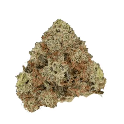 Kush Mountain Craft 27/1 GTH Ghost Train Haze