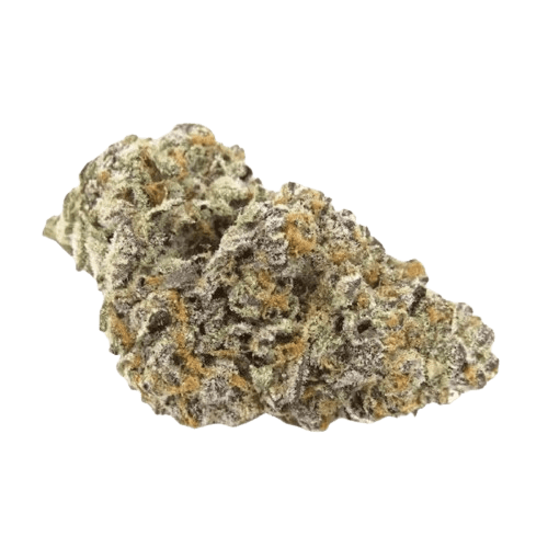 Soma OG 28/1 FG Gelato Sherbert