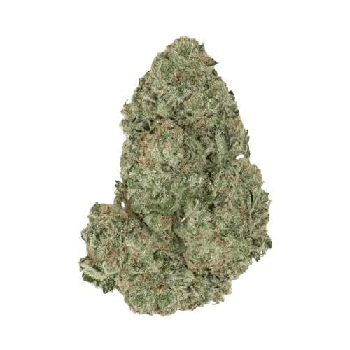 Slouu 22/1 AGM CA SBH Strawberry Haze