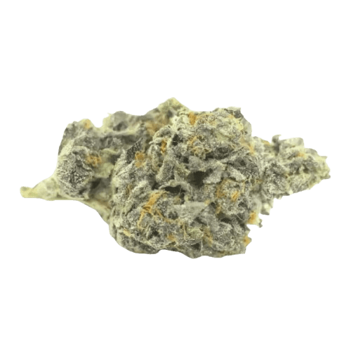 420 Compound 25/1 RPV