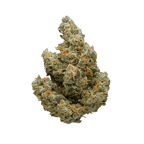 Patagonia 30/1