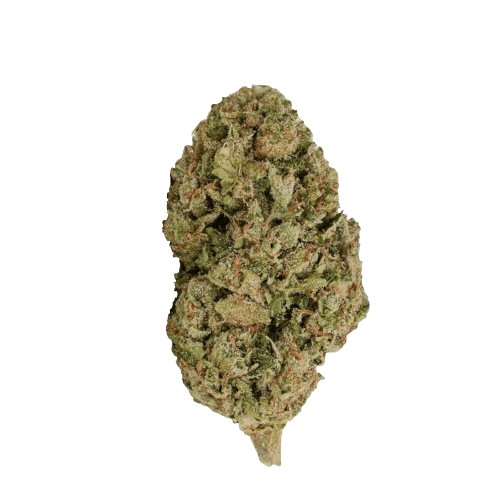 Pretty Smalls BSC 21/1