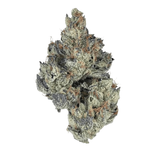 Craft Botanics 30/1 White Runtz