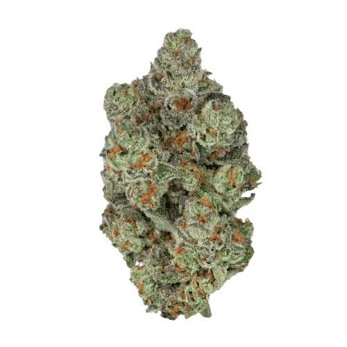 Craft Botanics 30/1 Mimosa