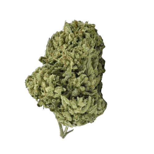 GROW 9/12 AM