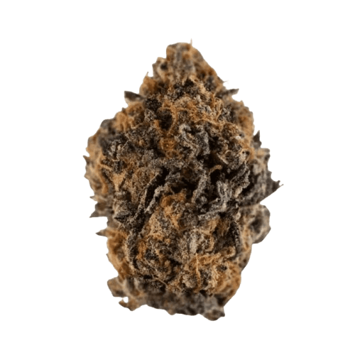 NICE 19/1 FZK Forbidden Zkittlez