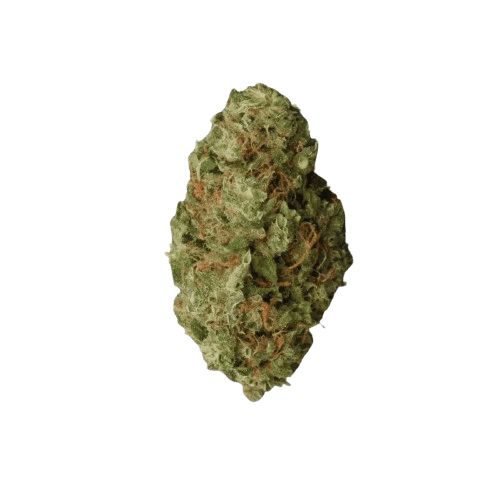 aleph air 22/1 Sour Tangie