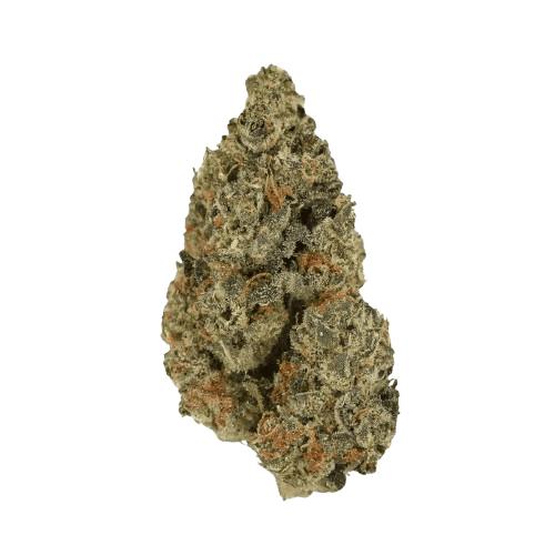 Luana 20/1 Grape LA