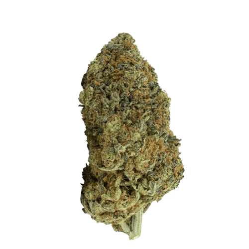 Demecan Craft Vert 25/1 Blueberry Cookies