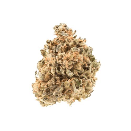 aleph water 5/13 Amnesia Balanced