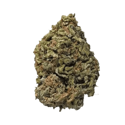 Cannamedical Indica forte URY