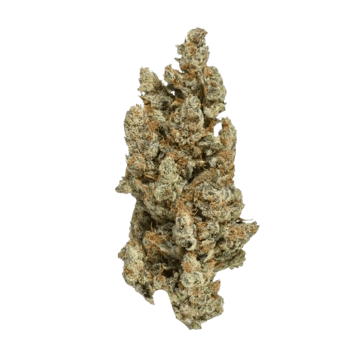 Cannamedical CM 20/1 GRP Grapefruit Gift
