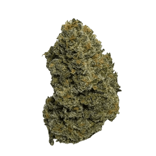 Wellford Aquaponic 32/1 LBO Legendary Bozy