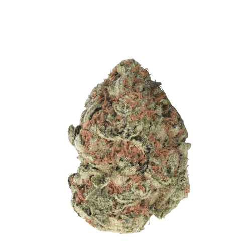 Remexian 30/1 TWE GBY Gorilla Berry