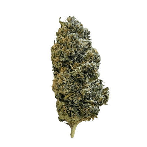 canymed BC 28/1 Diesel Crisp